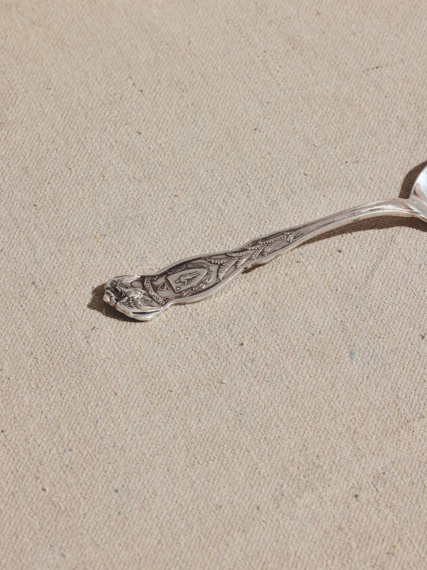 Rogers Mass Spoon
