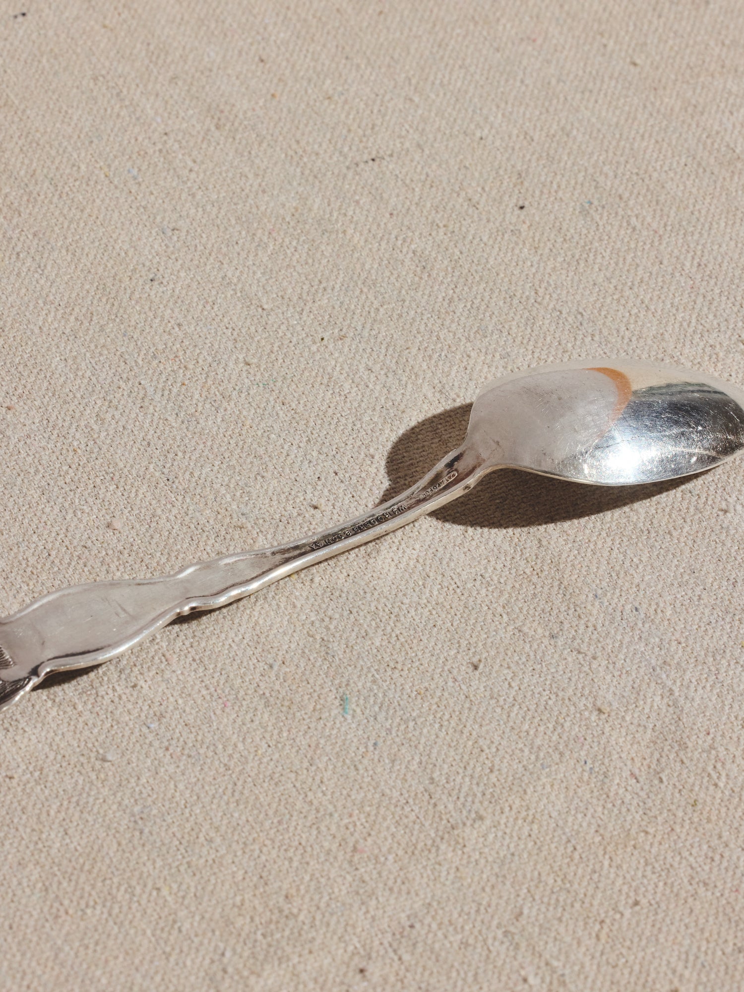 Rogers Mass Spoon