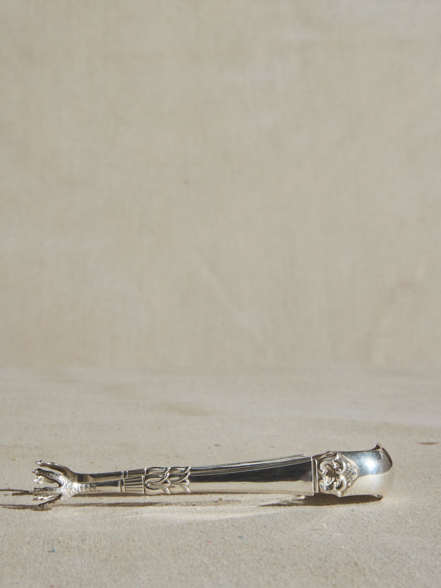 Pinces en argent Frigast
