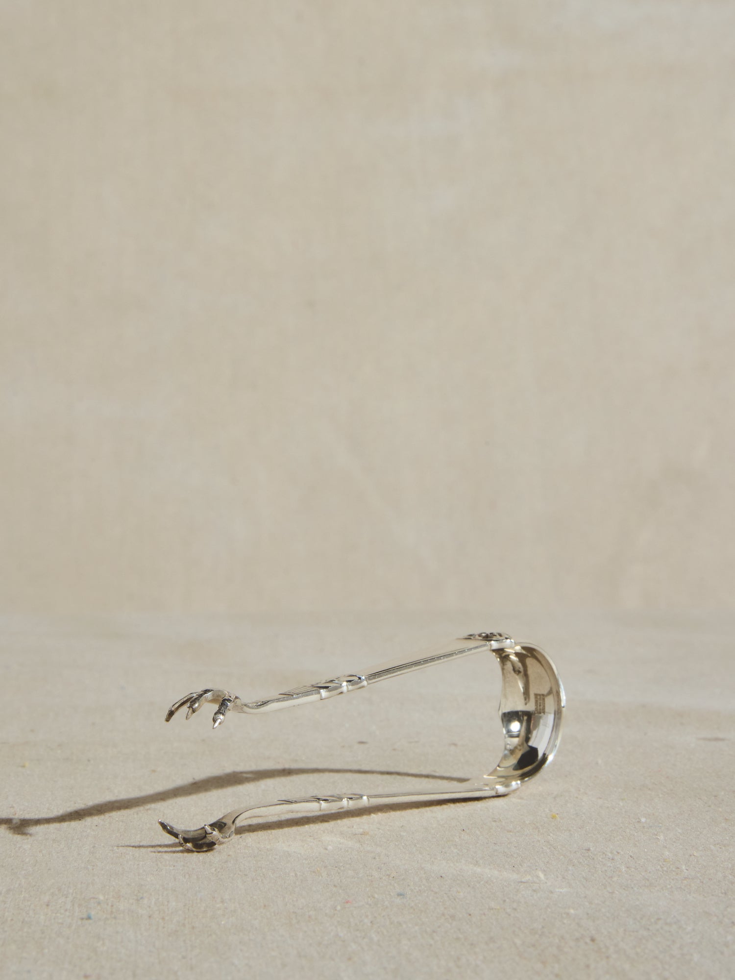 Pinces en argent Frigast