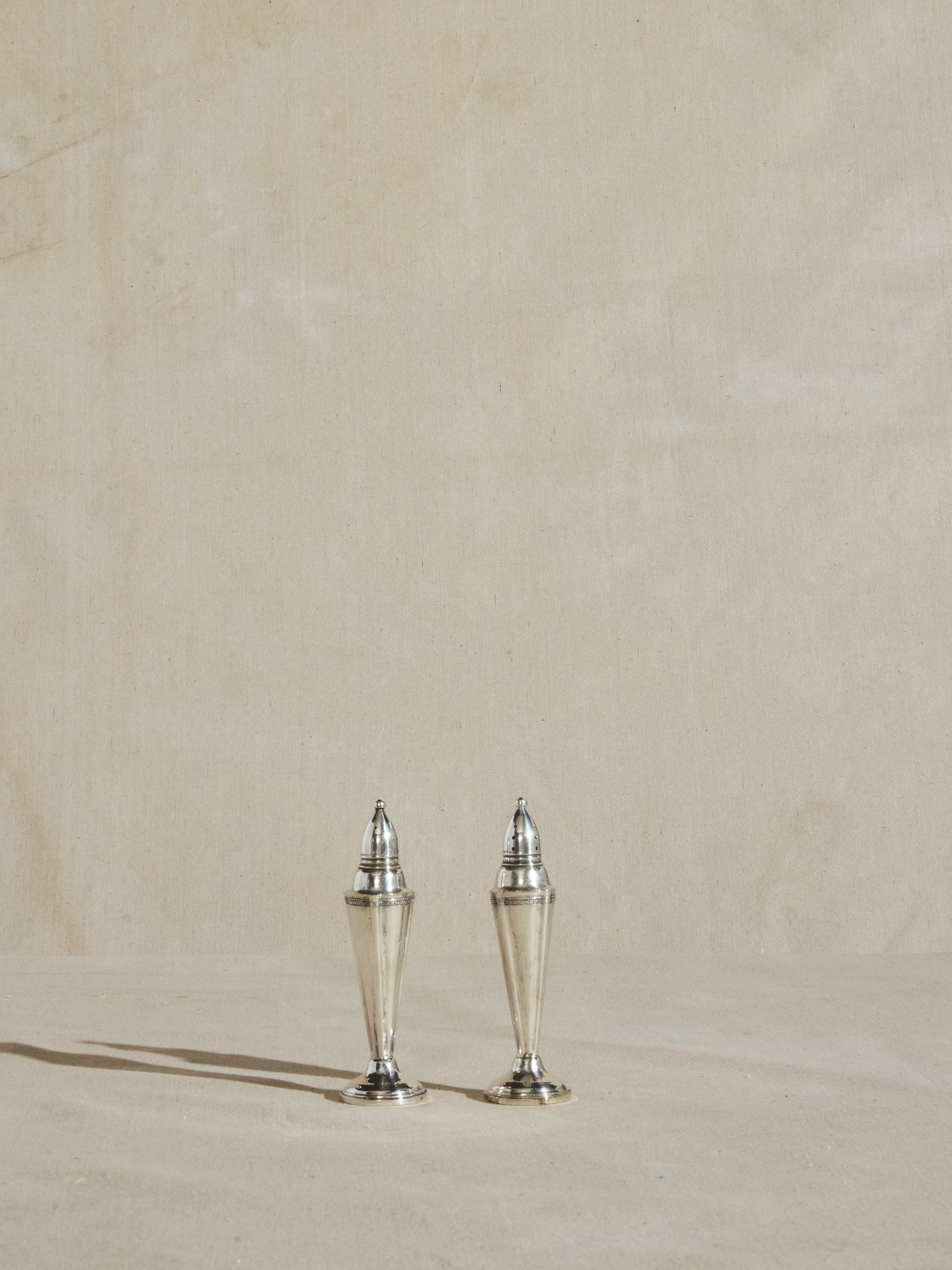Silver Weighted Salt & Pepper Shakers