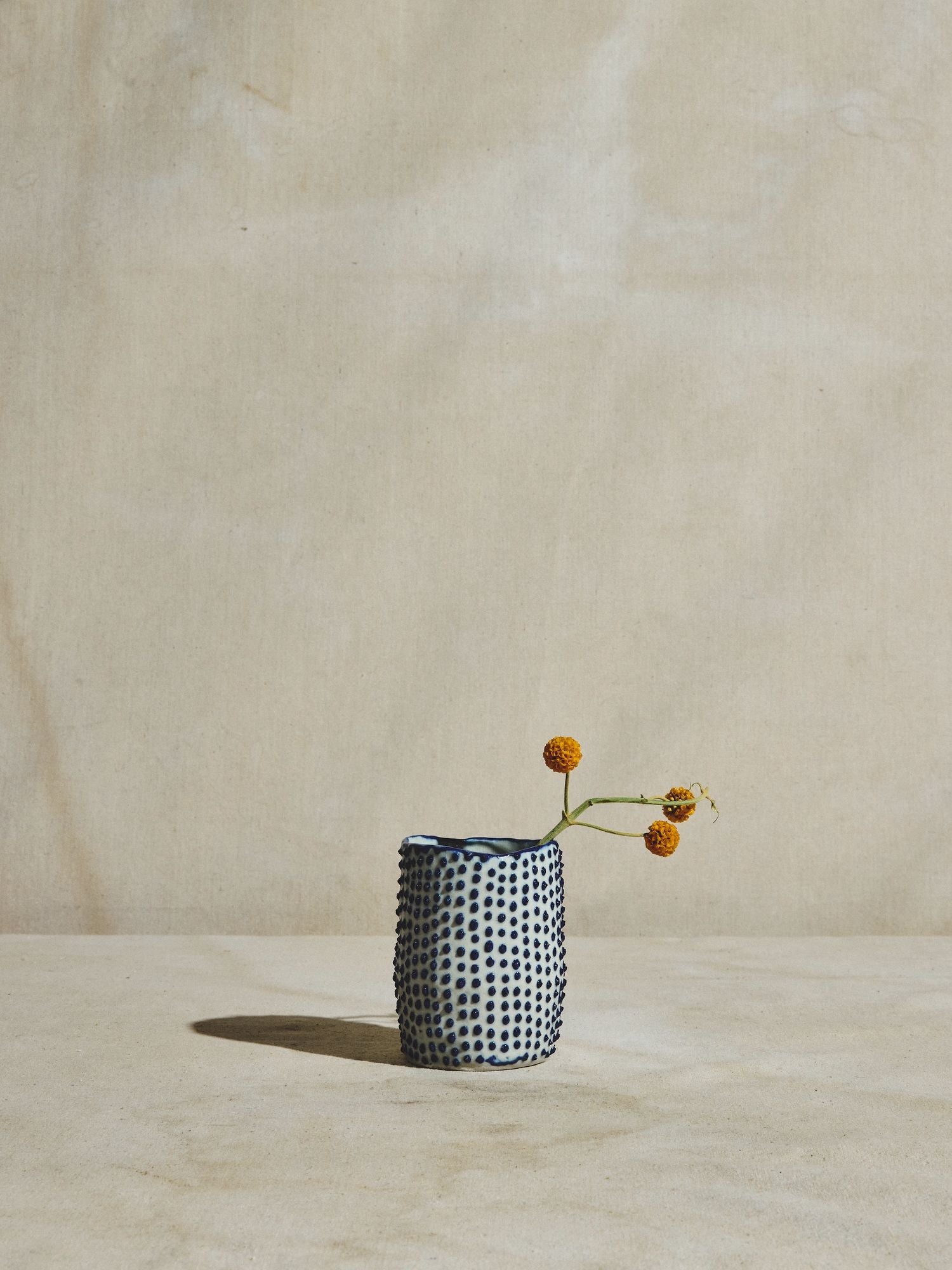 Dottie Vessel