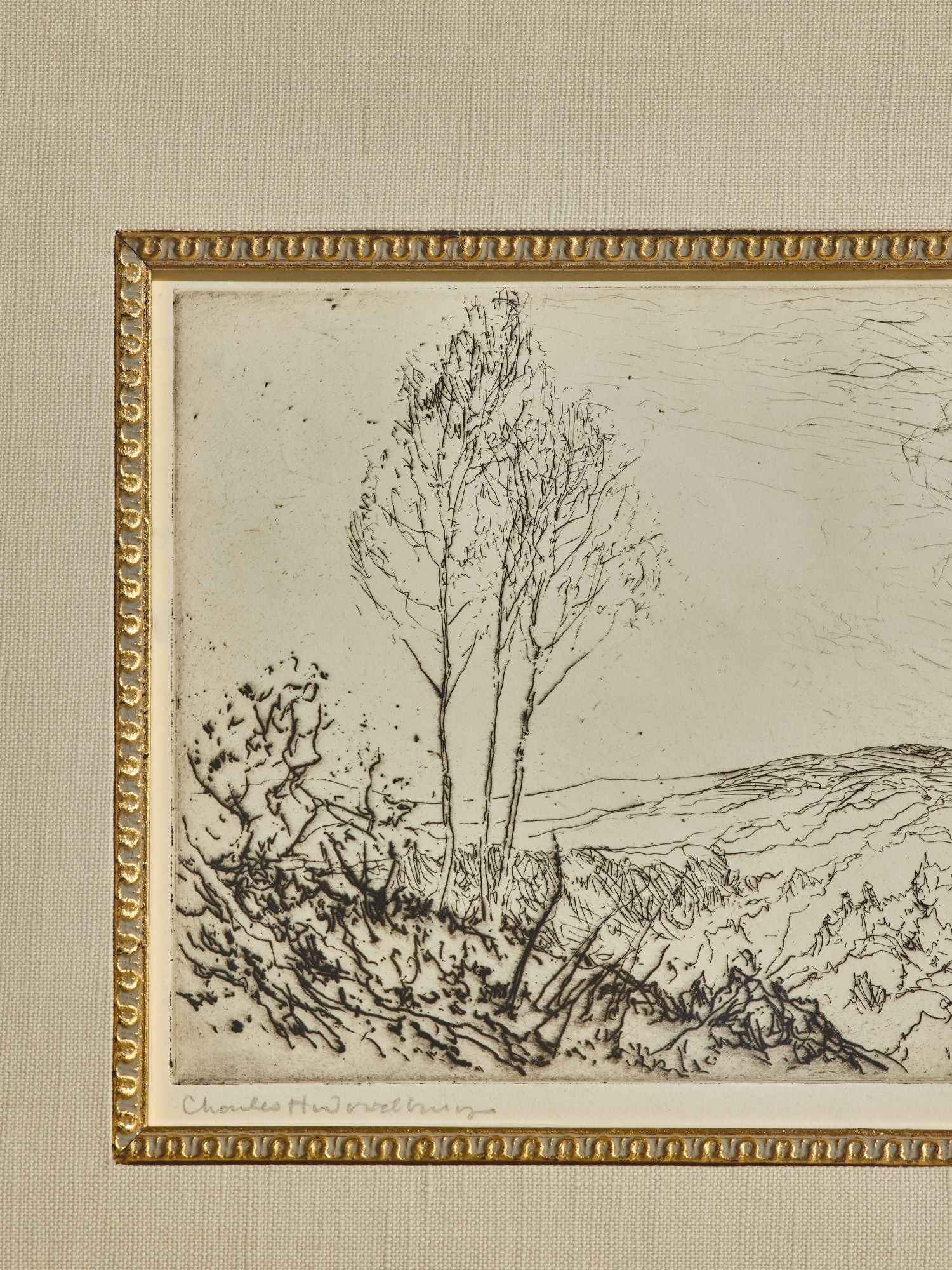 Framed Vintage Birch Tree Etching