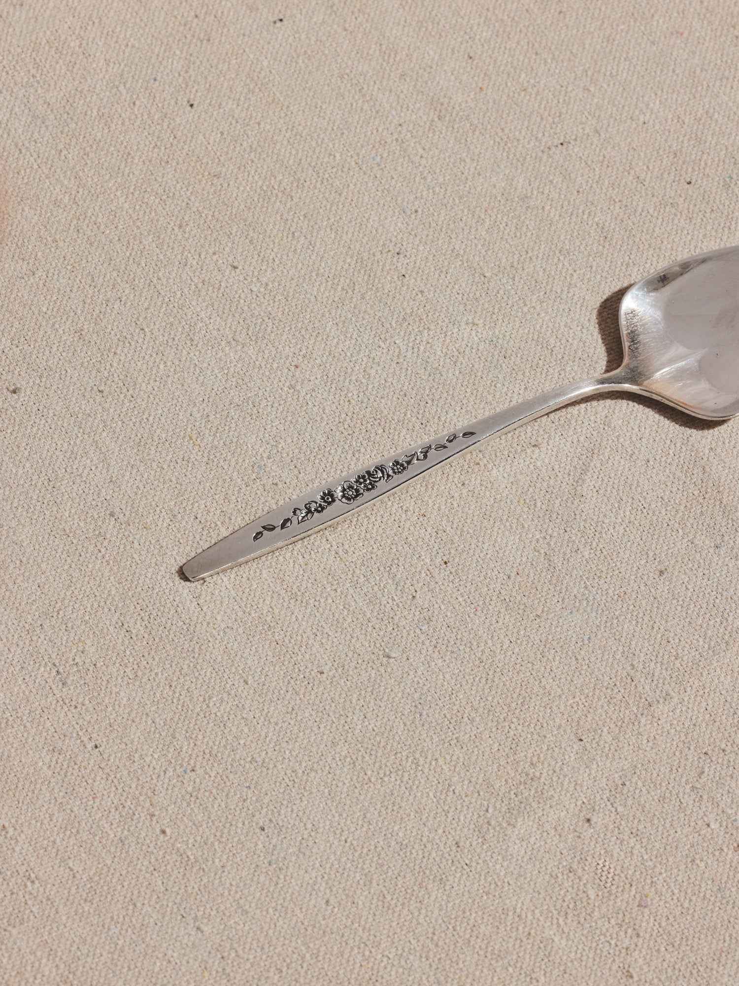 Deep Silver Spoon