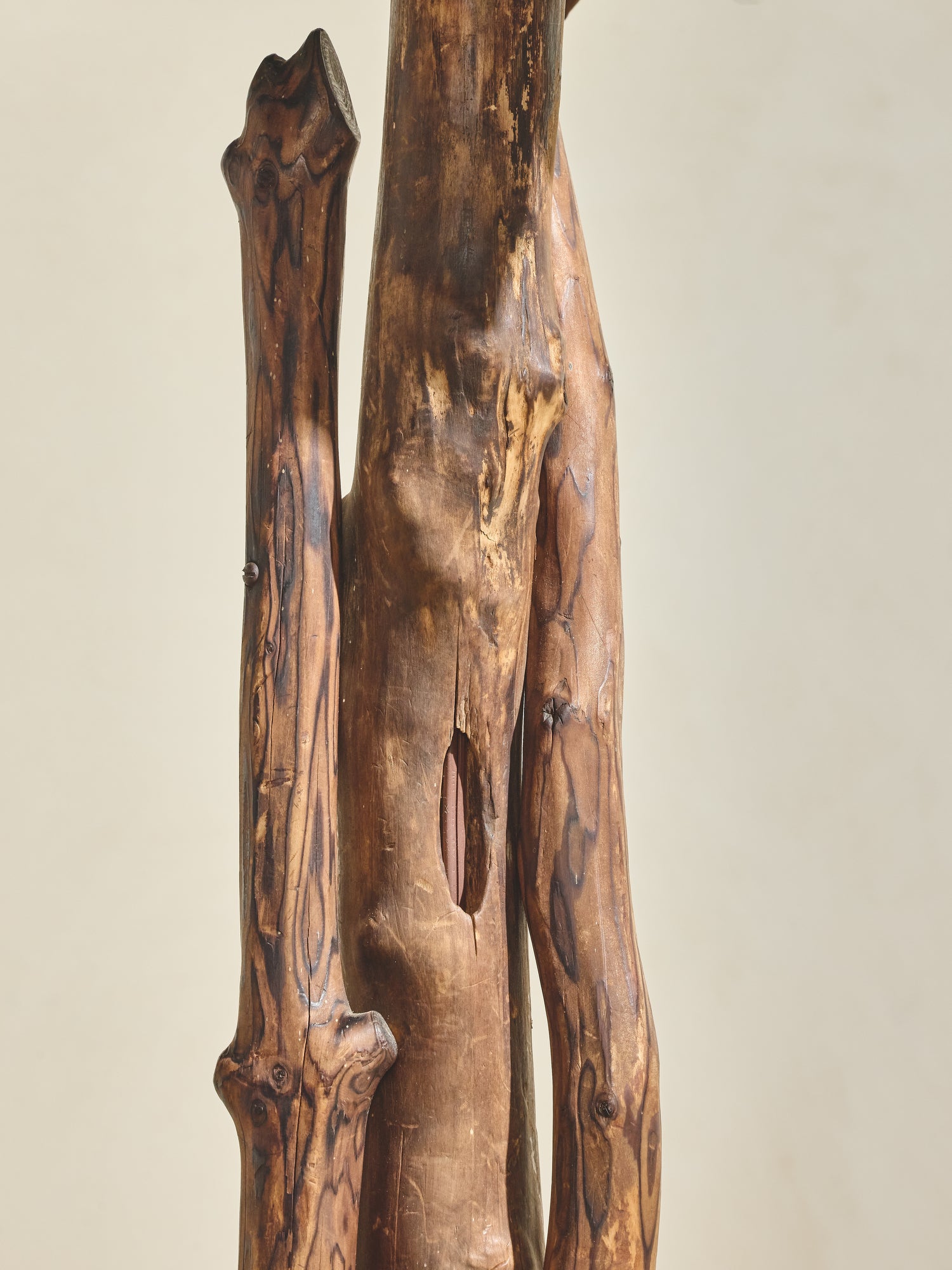 Driftwood Floor Lamp