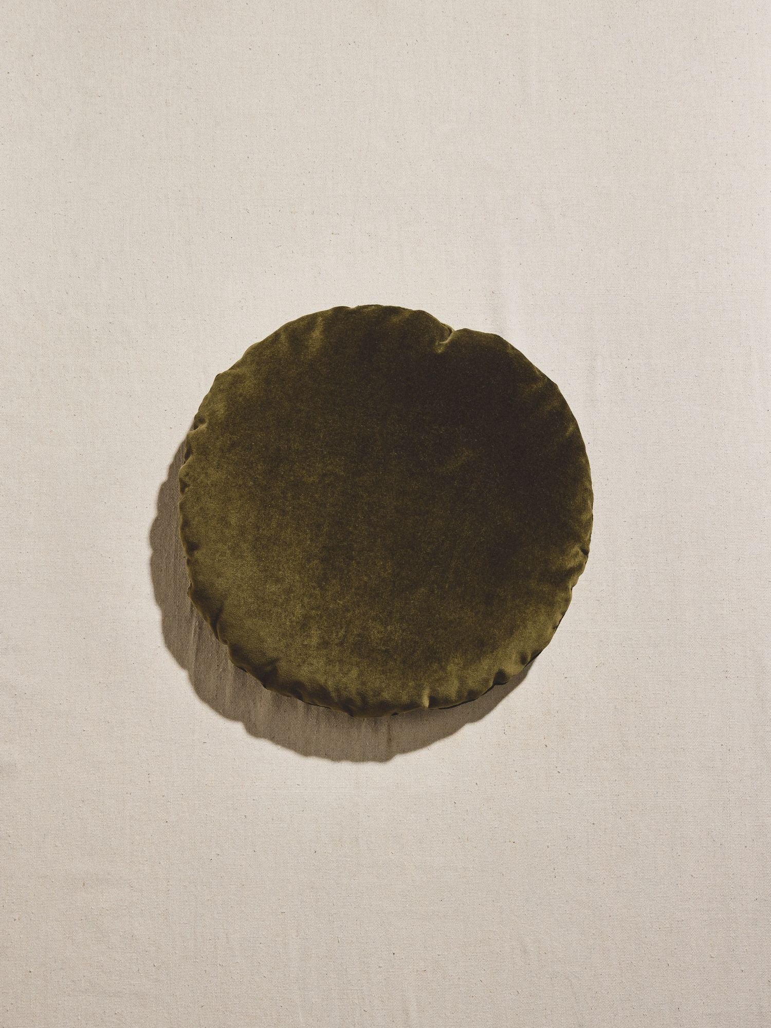 The Disc Pillow