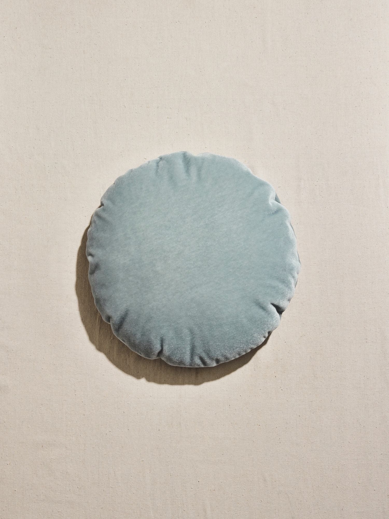 The Disc Pillow