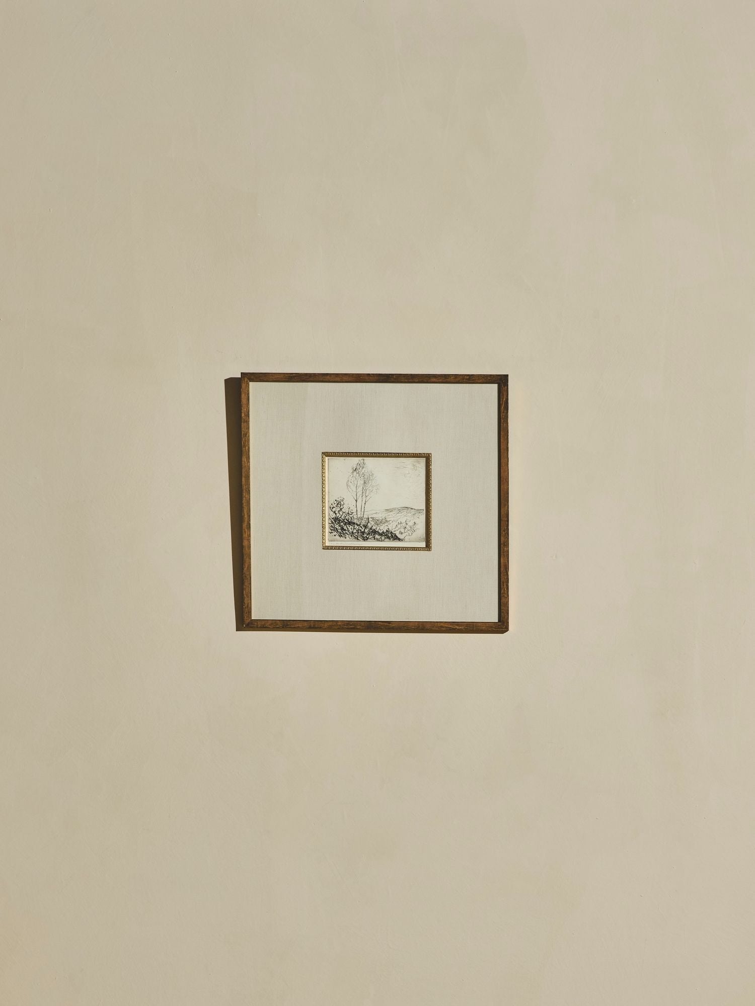 Framed Vintage Birch Tree Etching