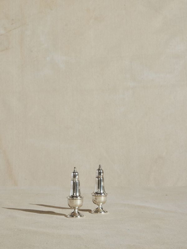 Silver Salt and Pepper Shakers